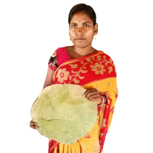 Lakhpati Didi Yojana 2024: आपकी समृद्धि का सपना