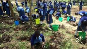 Swachh & Green School Survey 2025-26: सम्पूर्ण गाइड