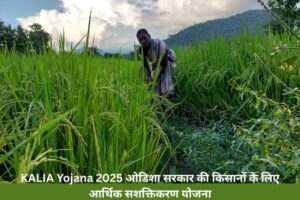 Kalia Yojana Online Apply 2025 last date: किसानों के लिए आर्थिक सहायता योजना